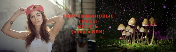 герыч Богданович