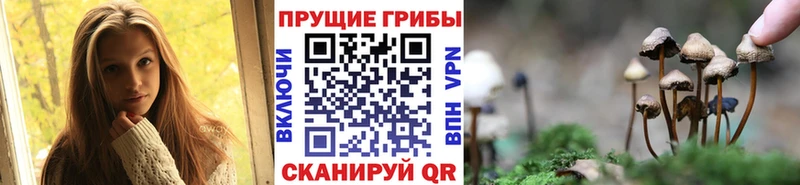 OMG зеркало  где найти наркотики  Меленки  Галлюциногенные грибы Cubensis 